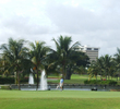 There are more than 3,000 palm and coconut trees on the golf course. 