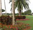 The Biltmore Golf Course in Coral Gables is a Donald Ross design.