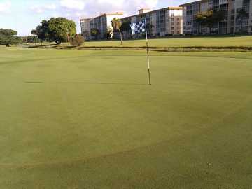 A view of the 12th green at Palm-Aire Country Club - Palms Course